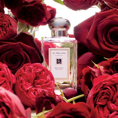 Red Roses Cologne .